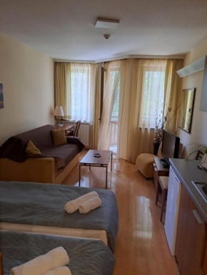 Family Studio 302, Villa park
